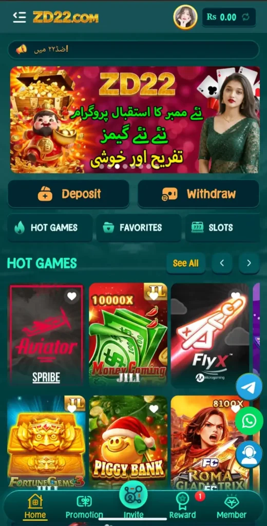 ZD22 Game
