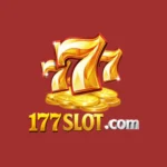 177 Slot Game