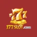 177 Slot Game