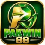 PakWin88 game